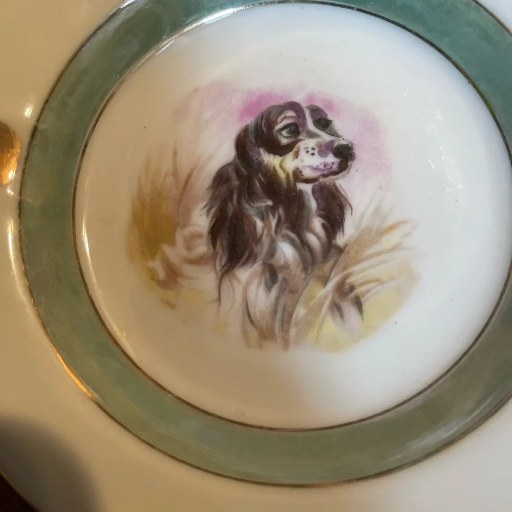 Spaniel Canine Hunting Dog Ashtray Japan Gold Rim 5 5/8”diameter Luster Ware